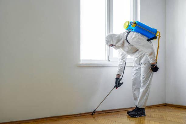 Pest Control for Hotels in Clayton, DE